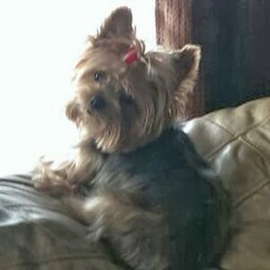 Meet your Posher, Sandy